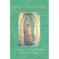Goddess of the Americas: Writings on the Virgin of Guadalupe