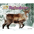Reindeer