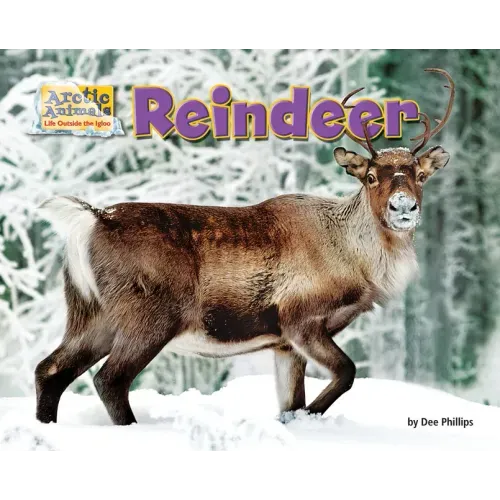 Reindeer