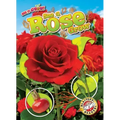 See a Rose Grow