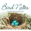 Bird Nests: Amazingly Ingenious and Intricate