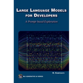 Large Language Models for Developers: A Prompt-Based Exploration of Llms