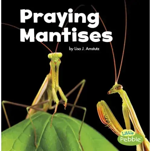 Praying Mantises
