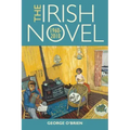 The Irish Novel: 1960-2010