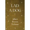 Lad - A Dog