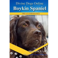Boykin Spaniels: Divine Dogs Online