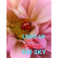 Light Up the Sky Photo Book of Ladybugs: Picture Book of Full Color Photography of Ladybugs and Flowers