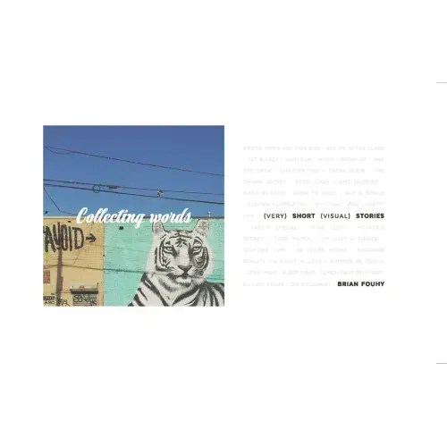 Collecting Words: Short Visual Stories