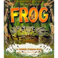 The Life Cycle of a Frog