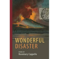 Wonderful Disaster