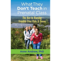 What They Don't Teach in Prenatal Class: The Key to Raising Trouble-Free Kids & Teens