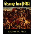 Gleanings from Joshua
