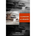 La Plasticidad En Valuación