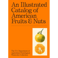 An Illustrated Catalog of American Fruits & Nuts: The U.S. Department of Agriculture Pomological Watercolor Collection