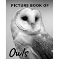 Picture Book of Owls: The Picture Book for Alzheimer's Patients and Seniors with Dementia.