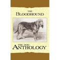The Bloodhound - A Dog Anthology (A Vintage Dog Books Breed Classic)