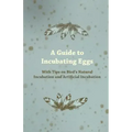 A Guide to Incubating Eggs - With Tips on Bird's Natural Incubation and Artificial Incubation