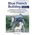 Blue French Bulldog: Care, costs, price, adoption, health, training and how to find breeders and puppies for sale.