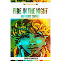 Fire In The Night and Other Stories: The 2014 Writivism Anthology