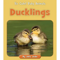 Ducklings
