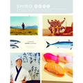 Shiro: Wit, Wisdom & Recipes from a Sushi Pioneer