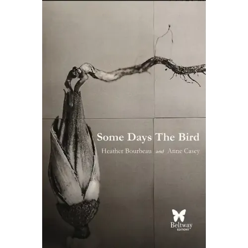 Some Days the Bird