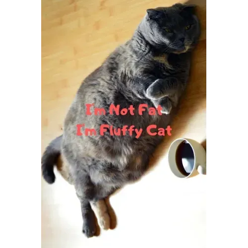 I'm Not Fat I'm Fluffy Cat Gift For Mom Wife Lover Women Sister Nurse