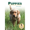 Your Comprehensive Training Guide to PUPPIES: Surviving the First Six Months