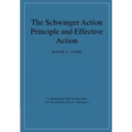 The Schwinger Action Principle and Effective Action