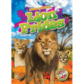 Lion Prides