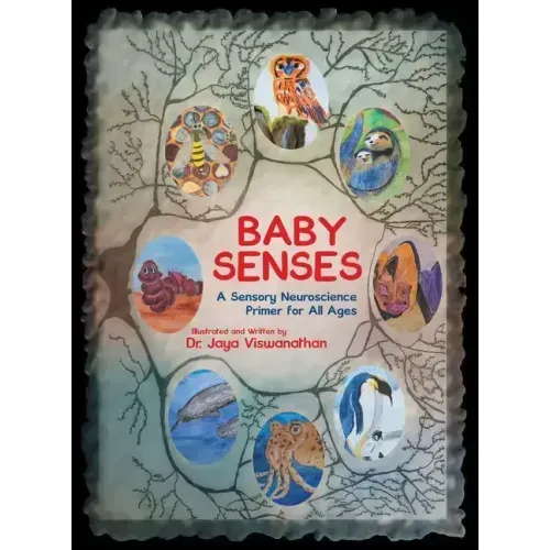 Baby Senses: A Sensory Neuroscience Primer for All Ages