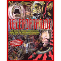 Teleportation: The Dream Of Instant Translocation Moves From Hollywood Entertainment To Offocial U.S. Air Force Laboratories