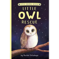 Little Owl Rescue