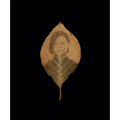 Binh Danh: The Enigma of Belonging