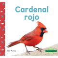 Cardenal Rojo (Northern Cardinals)