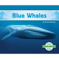 Blue Whales