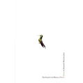 The Inanity of Music and Wings