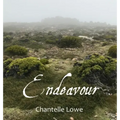 Endeavour: Poetry Anthology - Volume Three