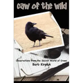 Caw of the Wild: Observations from the Secret World of Crows
