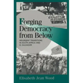 Forging Democracy from Below: Insurgent Transitions in South Africa and El Salvador
