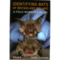 Identifying Bats of Britain and Ireland: A Field Worker's Guide