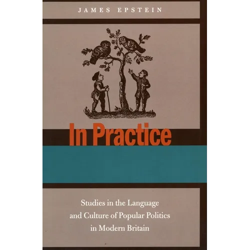 In Practice: Studies in the Language and Culture of Popular Politics in Modern Britain