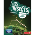 Stick Insects: An Augmented Reality Experience