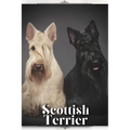 Scottish Terrier: Dog breed overview and guide