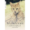 Savannah: Cat Breed Complete Guide