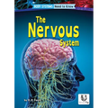 The Nervous System