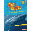 Blue Whales: Nature's Biggest Mammal