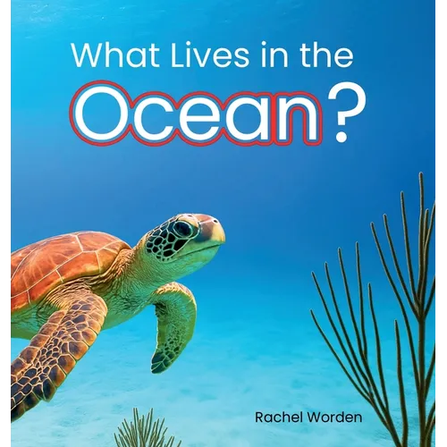 What Lives in the Ocean? (Habitat Series)