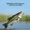 Michigan Game Fish and Panfish Species Kids Book: Great Book About the Different Types of Fish in Michigan