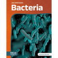 Bacteria